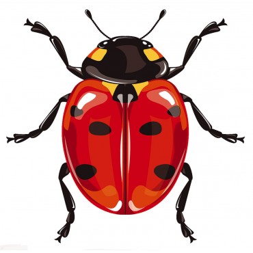 http://www.artystick.net/1649-thickbox_default/ladybird-100-x-200-mm.jpg