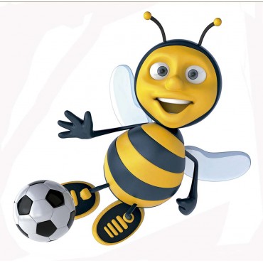 http://www.artystick.net/1693-thickbox_default/bee-football-100-x-200-mm.jpg