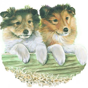 http://www.artystick.net/176-thickbox_default/floral-puppies.jpg