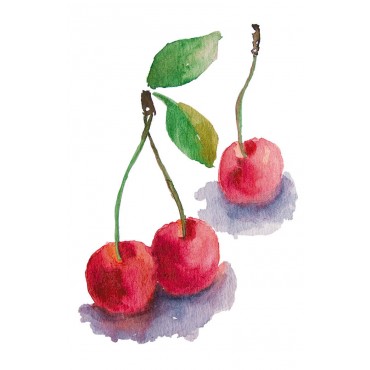 http://www.artystick.net/1883-thickbox_default/pomegranatecherries-100-x-200-mm.jpg