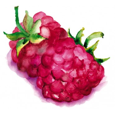 http://www.artystick.net/1907-thickbox_default/redcurrantraspberry-100-x-200-mm.jpg