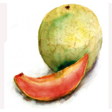 http://www.artystick.net/1939-thickbox_default/strawberrymelon-100-x-200-mm.jpg