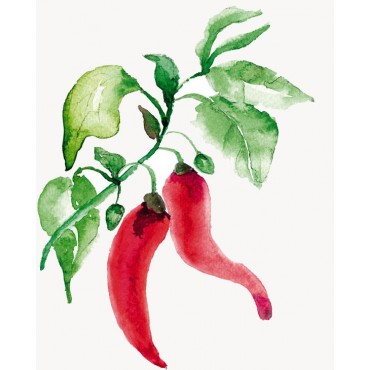 http://www.artystick.net/1951-thickbox_default/red-chili-pepperolives-100-x-200-mm.jpg