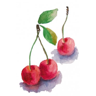 http://www.artystick.net/1965-thickbox_default/peachcherries-100-x-200-mm.jpg