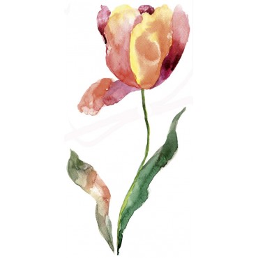 http://www.artystick.net/1995-thickbox_default/tulip-100-x-200-mm.jpg