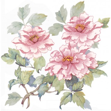 http://www.artystick.net/216-thickbox_default/pink-peonies.jpg