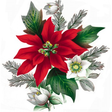 http://www.artystick.net/222-thickbox_default/pointsettia.jpg