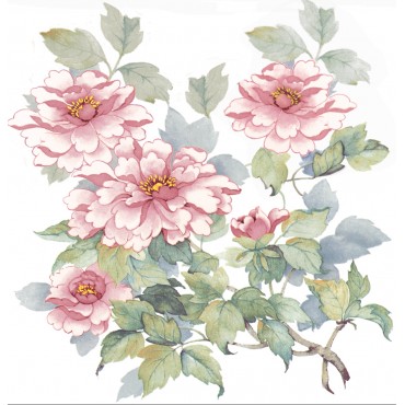 http://www.artystick.net/696-thickbox_default/pink-peonies.jpg