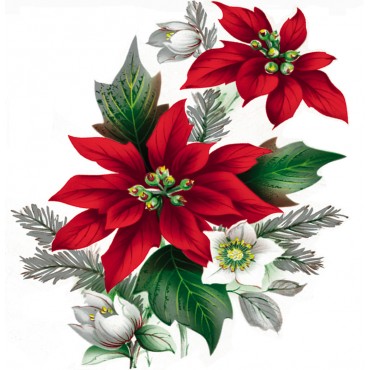 http://www.artystick.net/702-thickbox_default/pointsettia.jpg